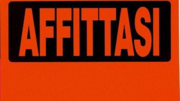 "Affittasi stanza. No animali e no gay", il cartello shock di Roma si rivela una bufala