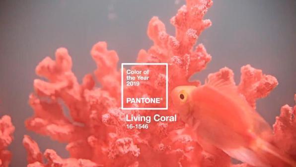 Living Coral è il colore del 2019 secondo Pantone