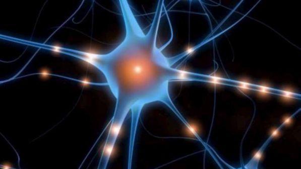 Il segreto per mantenere giovane il cervello? Essere felici