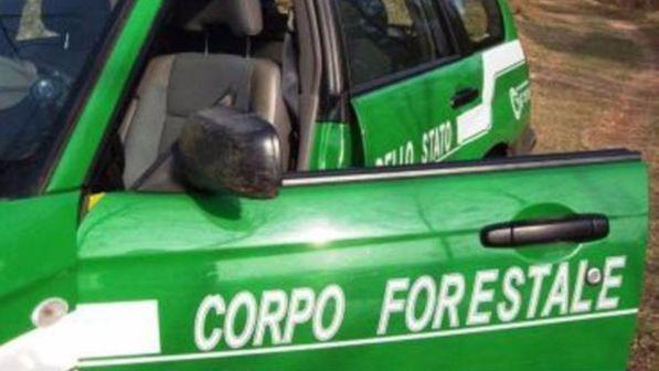 Potenza, forestale chiede il congedo per motivi familiari: va negli Usa a girare un film porno