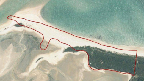 Nuova Zelanda, la spiaggia bianca di Abel Tasman è salva grazie a una campagna web