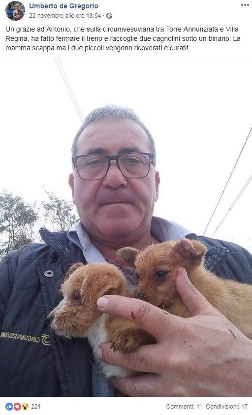 Napoli, operaio-eroe ferma la Circumvesuviana e salva cuccioli di cane intrappolati tra i binari