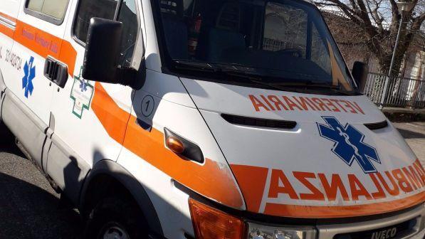 Pavia, cade mentre si allena su pista da motocross: grave 11enne