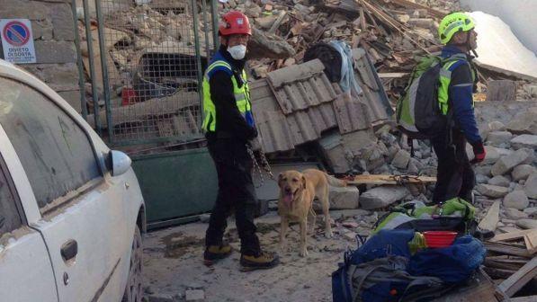 Addio ai cani eroi, arriva il robot fiuta-superstiti in valanghe e terremoti