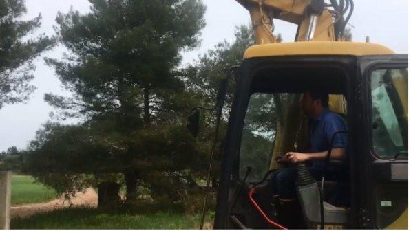 Il Primo maggio di Salvini a lezione di ruspa diventa subito virale