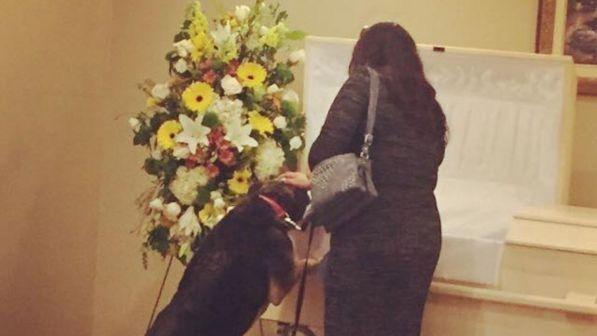 Canada, un cane partecipa al funerale del proprietario e trova la pace