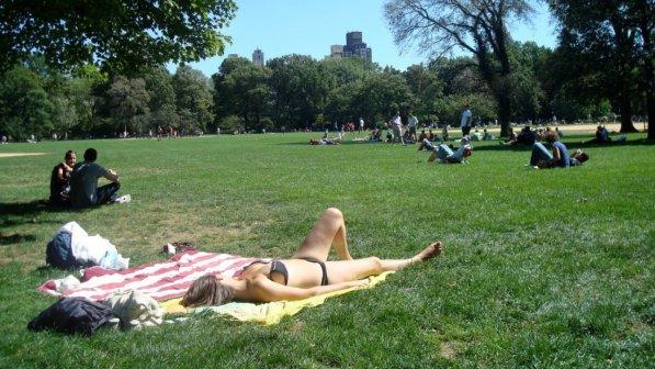 Venezia, in bikini ai giardini pubblici: 250 euro di multa per una turista