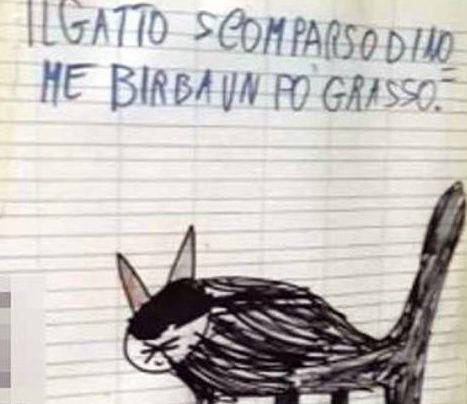 Lecce Il Tenero Annuncio Di Un Bimbo Cercasi Birba Il Gatto Un