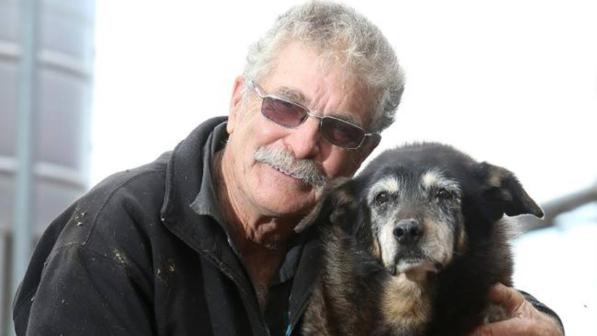 E' morto in Australia il cane più vecchio del mondo: aveva 30 anni
