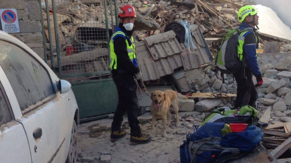 Terremoto in Centro Italia, il prezioso aiuto degli "angeli" a quattro zampe