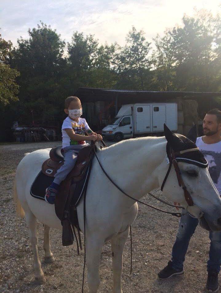 Treviso, la nuova vita della cavalla Luna: dall'asta alla pet therapy con i bambini