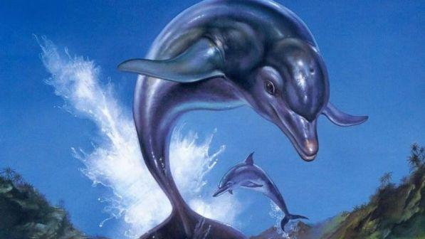 Ecco the Dolphin: la storia di un eroe impossibile e indimenticabile