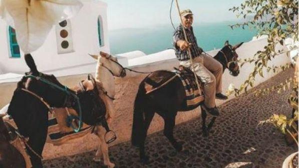 Santorini vuole mandare in pensione i suoi asinelli