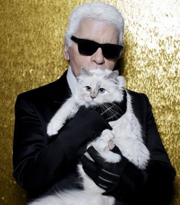 L'eredità di Karl Lagerfeld alla sua gatta Choupette