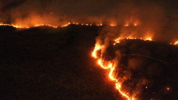 Roghi Amazzonia, Brasile: "Non accetteremo limitazioni sovranità"