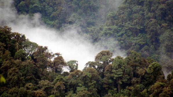 Amazzonia a fuoco, via alle operazioni di spegnimento dell'esercito