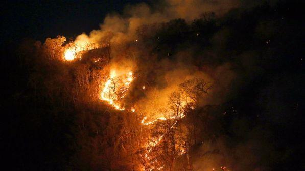 Amazzonia in fiamme, Johnson: "E' crisi internazionale"