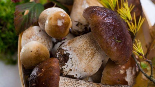 Gite fuoriporta con i primi sapori di autunno