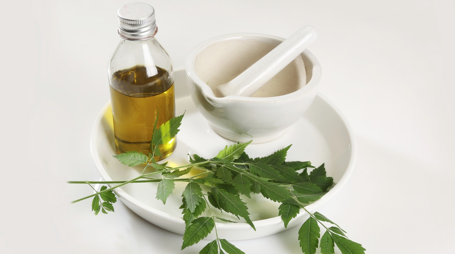 Conosci l'olio di Neem? È un rimedio naturale dalle mille virtù