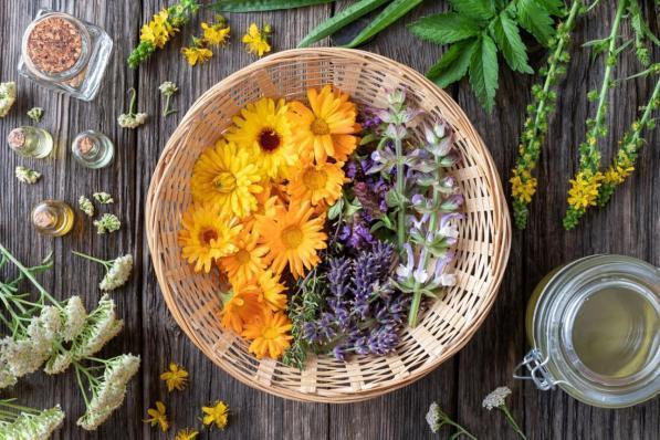 Oroscopo: un Fiore di Bach per ogni Segno Zodiacale