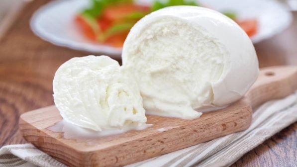 Treviso: una giornata per scoprire la mozzarella