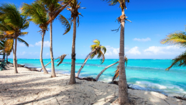 Paradisi tropicali: un'oasi di sole e relax