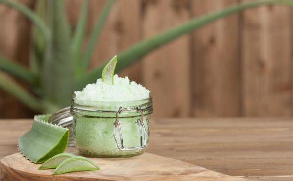 Aloe, preziosa alleata per il nostro benessere