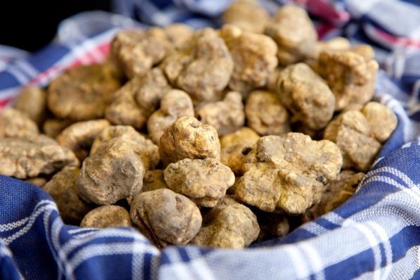 Sagre di gusto: i primi appuntamenti di autunno