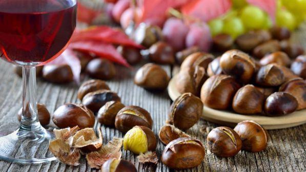 Le prime sagre del mese di novembre
