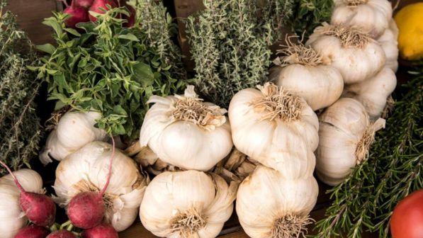 Aglio: cinque buoni motivi per non eliminarlo dalla dieta