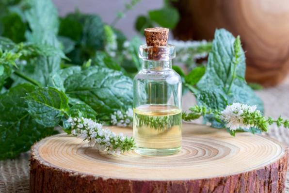 Tulsi: scopri le virtù benefiche del "basilico sacro"