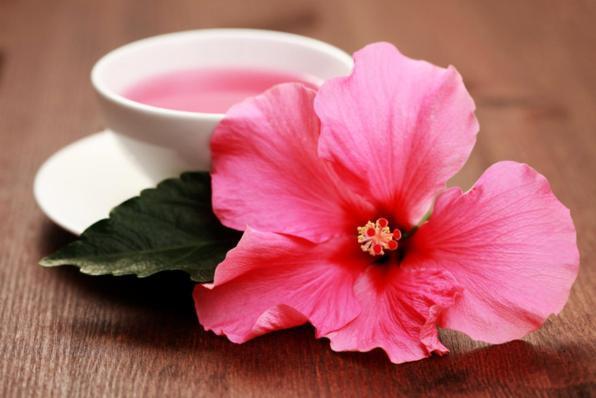 Karkadè: un concentrato di virtù nell'infuso color rubino