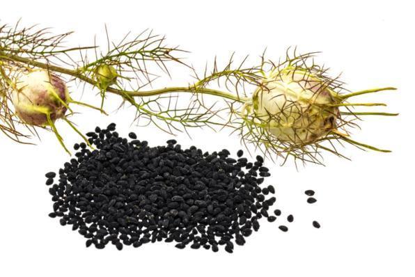 Olio di cumino nero: scopri tutti i benefici del "seme benedetto"