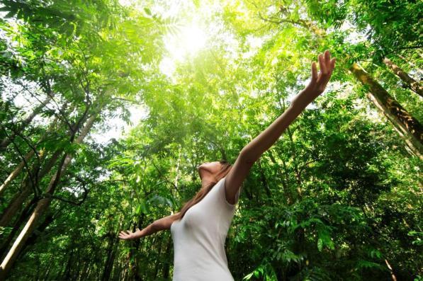 Forest bathing: il “bagno nella foresta” che ti cura e ti fa stare bene