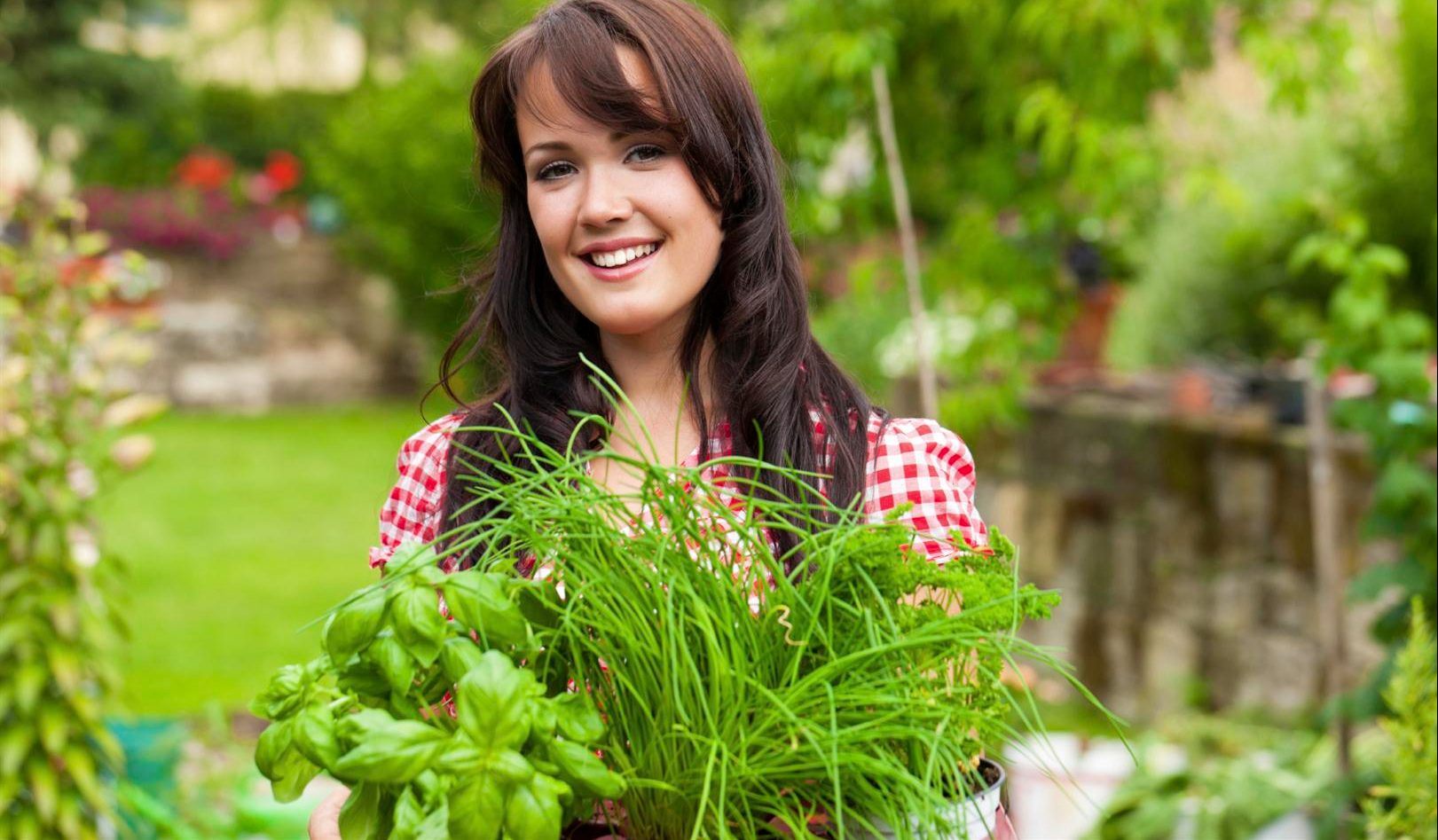 Le piante per cucinare da tenere sul balcone