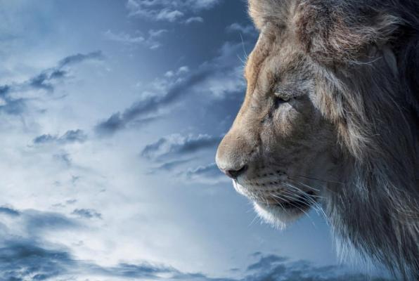 Astrologia: l’Ascendente Leone per i 12 Segni