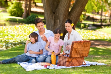 famiglia, natura, primavera, pic nic, gita