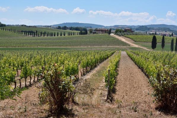Le sagre del ponte di aprile: protagonista il vino