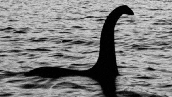 Loch Ness, una nuova ricerca: "Plausibile l'esistenza di un mostro"