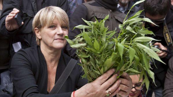 Cannabis in casa, Bernardini: delusa per denuncia, meritavo arresto