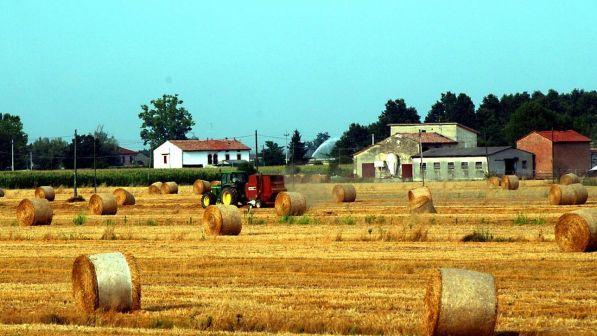 Cgia di Mestre: "In Italia ci sono 3,3 milioni di lavoratori invisibili"