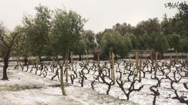Aria artica sull'Italia: vento forte, freddo intenso e neve