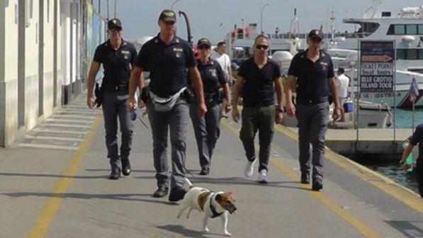 Ecco come Pocho e i suoi "colleghi" diventano i temuti cani antidroga