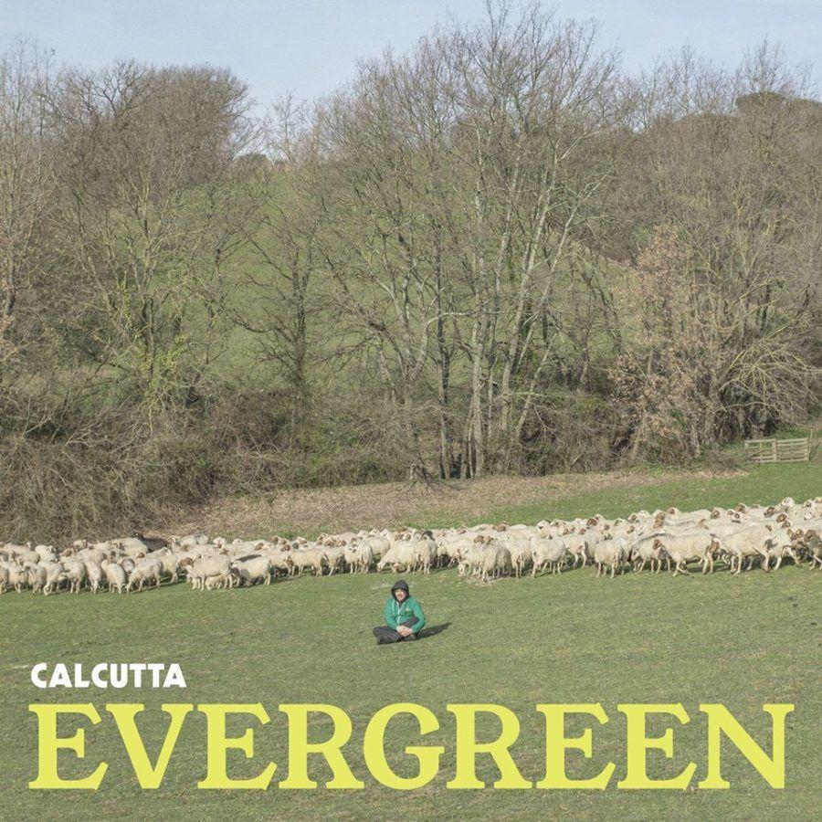 Calcutta, il nuovo disco punta a diventare un "Evergreen" del pop italico