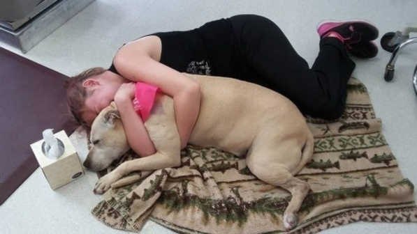 Deve far abbattere il suo cane: la straziante immagine dell'ultimo abbraccio al suo "migliore amico"