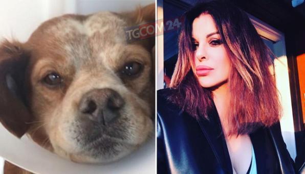 Parietti dopo l'aggressione al cane: "Venghi sta bene, mio figlio meno"