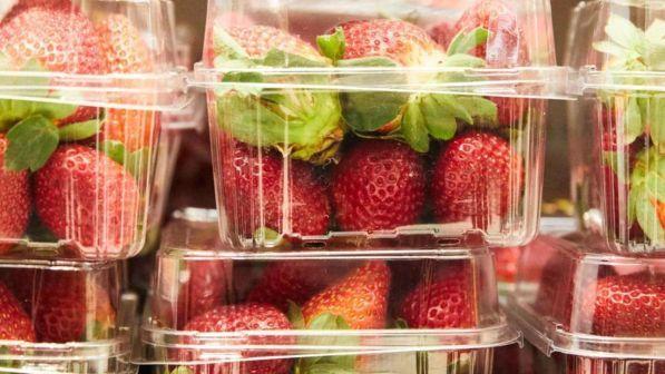 Australia, aghi nelle fragole al supermercato: arrestata una donna
