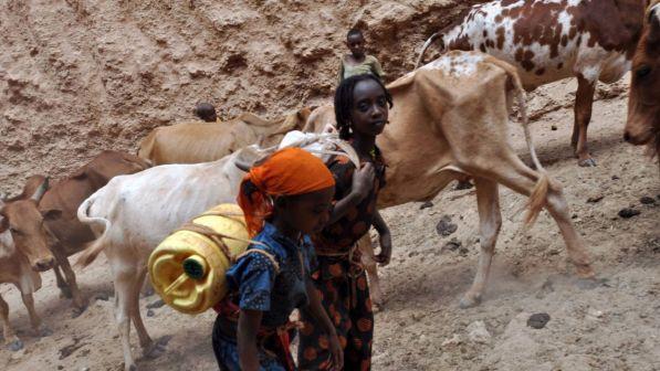 Save The Children: in Corno d'Africa a rischio 6 mln di bambini