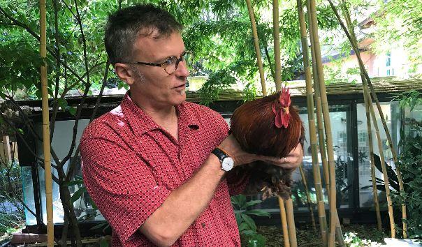 ZOOlander, a Milano anche le galline fanno le top model