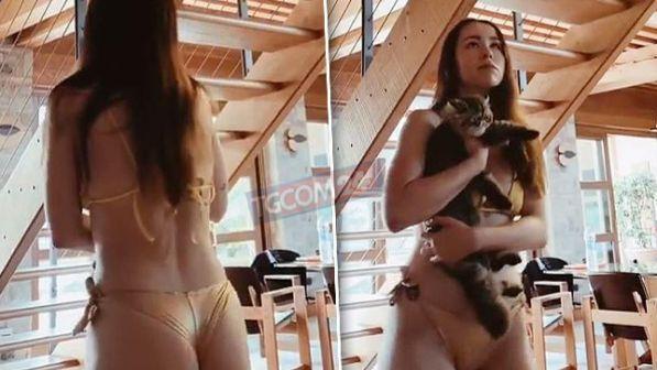 Aurora Ramazzotti, il ballo hot col gatto
